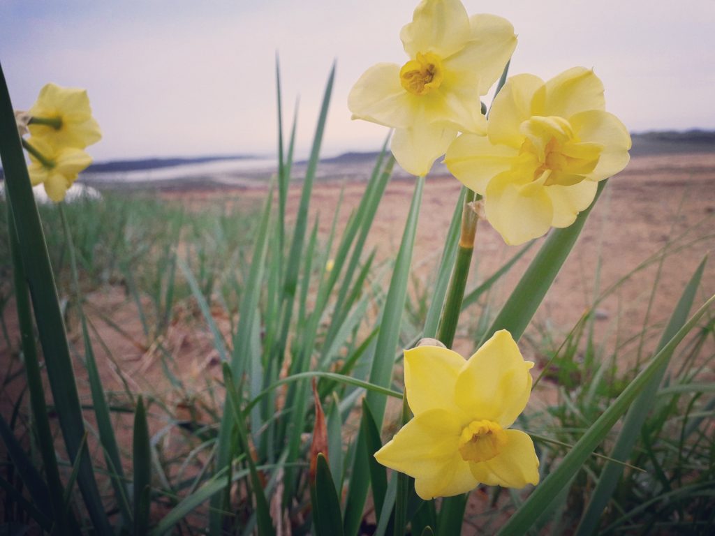 IMG_20190501_121755_419