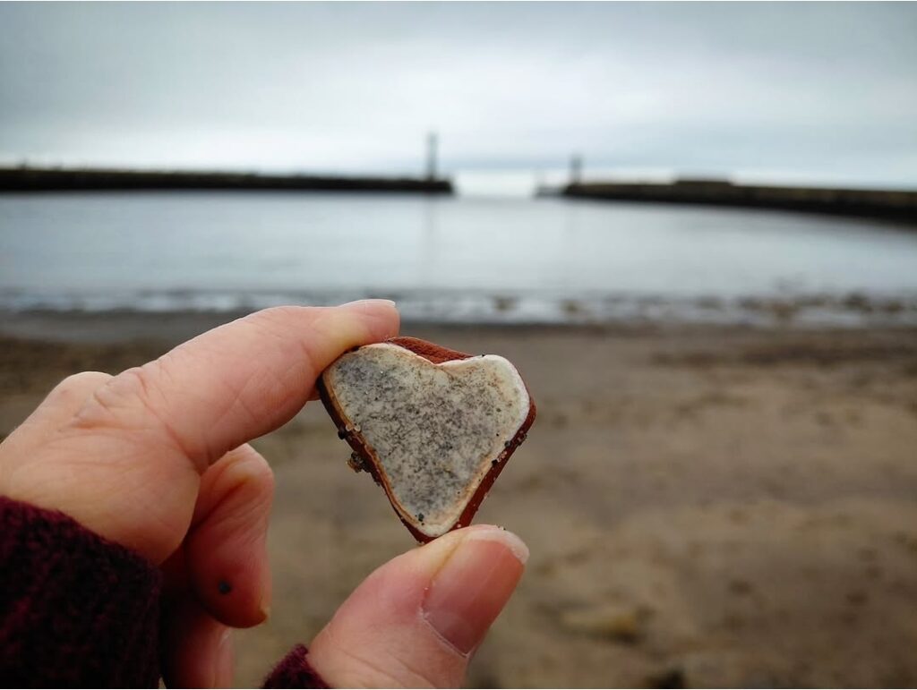 Screenshot_20260222_112904_Instagram